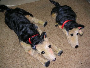 MINOLTA DIGITAL CAMERA